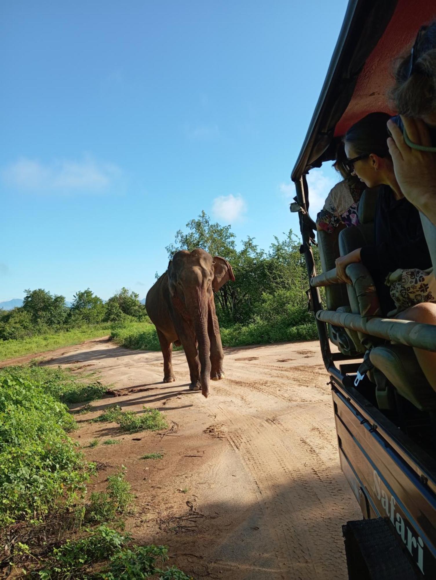 Tusker'S Paradise Safari Villa Удавалаве Екстер'єр фото