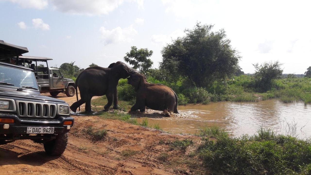 Tusker'S Paradise Safari Villa Удавалаве Екстер'єр фото
