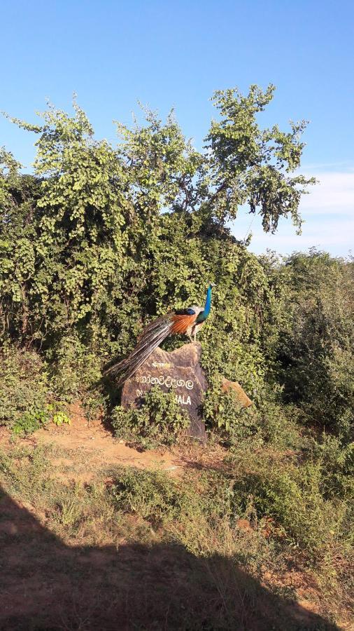 Tusker'S Paradise Safari Villa Удавалаве Екстер'єр фото